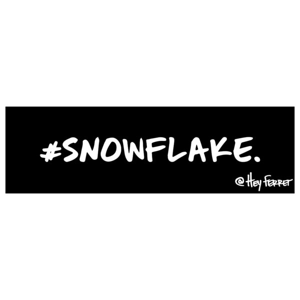 Snowflake Sticker | Hey Ferret